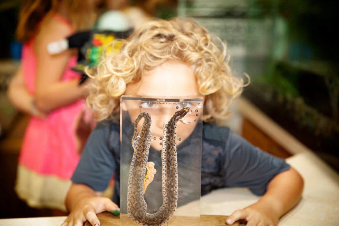 Looking for Summer Fun? Oglebay Lists 2023 Good Zoo Summer Camp